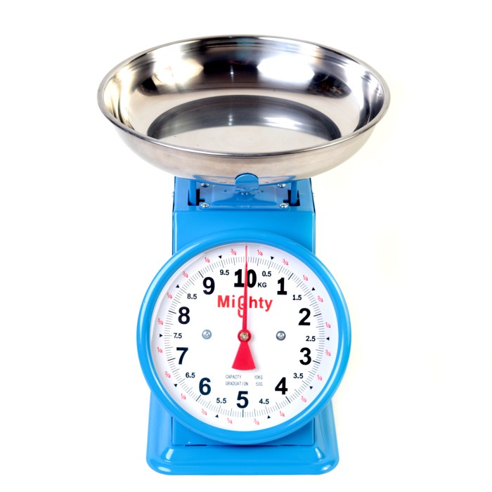 Ingco Spring Weighing Scale | lupon.gov.ph Ingco Spring Weighing Scale | lupon.gov.ph