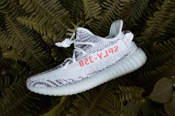 HD wallpaper: Unpaired Beluga Adidas Yeezy Boost 350 Shoe, garage ...