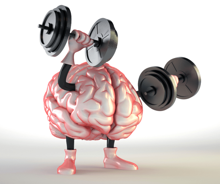 Exercise Can Improve Cognitive Function | Better Humans Exercise Can Improve Cognitive Function | Better Humans